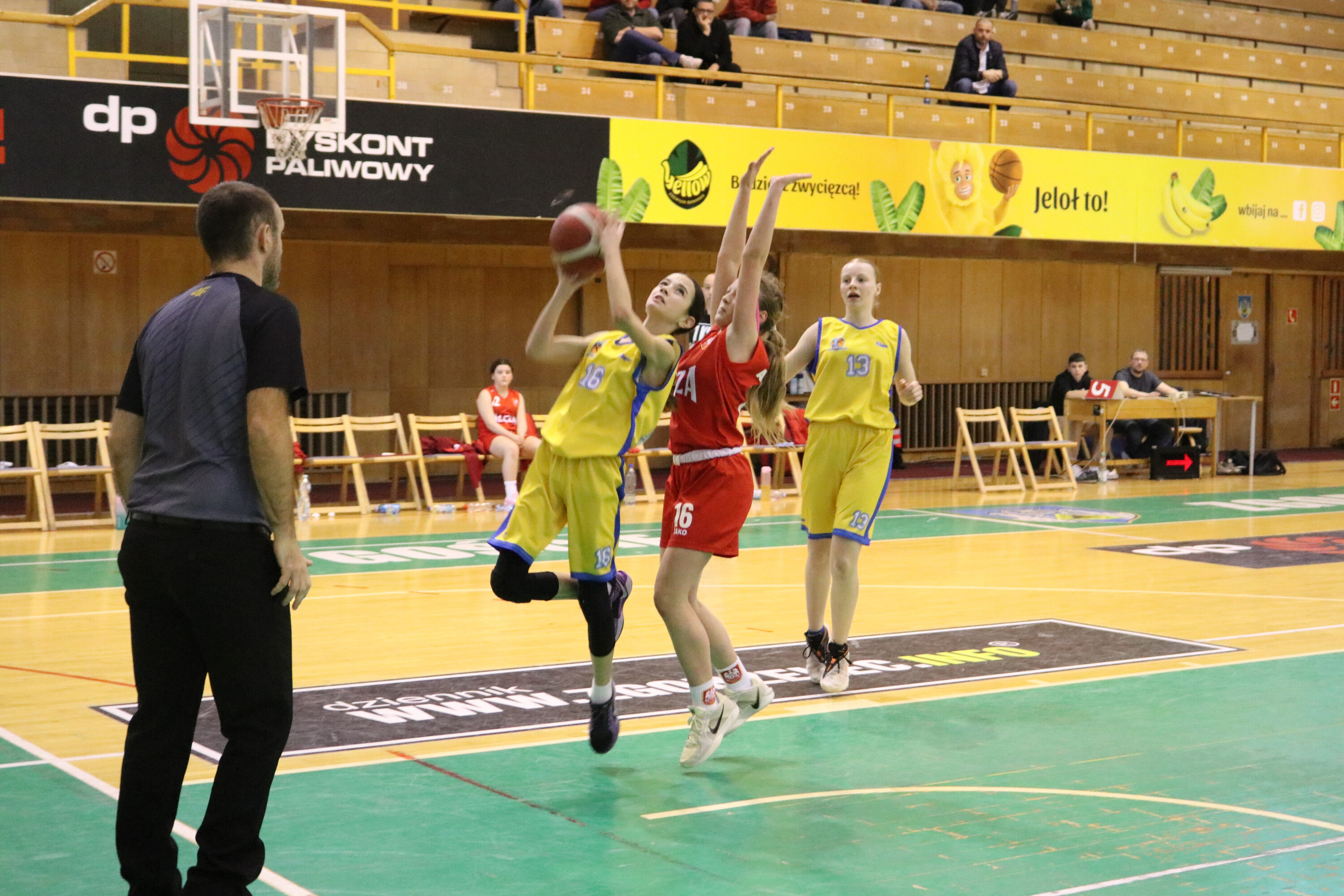 Citronex UKS Basket Zgorzelec - 1KS Ślęza BFD Wrocław Citronex UKS Basket Zgorzelec - 1KS Ślęza BFD Wrocław